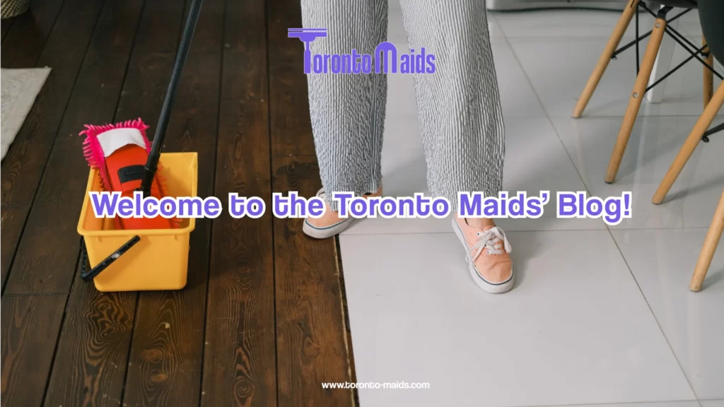 Welcome to the Toronto Maids blog