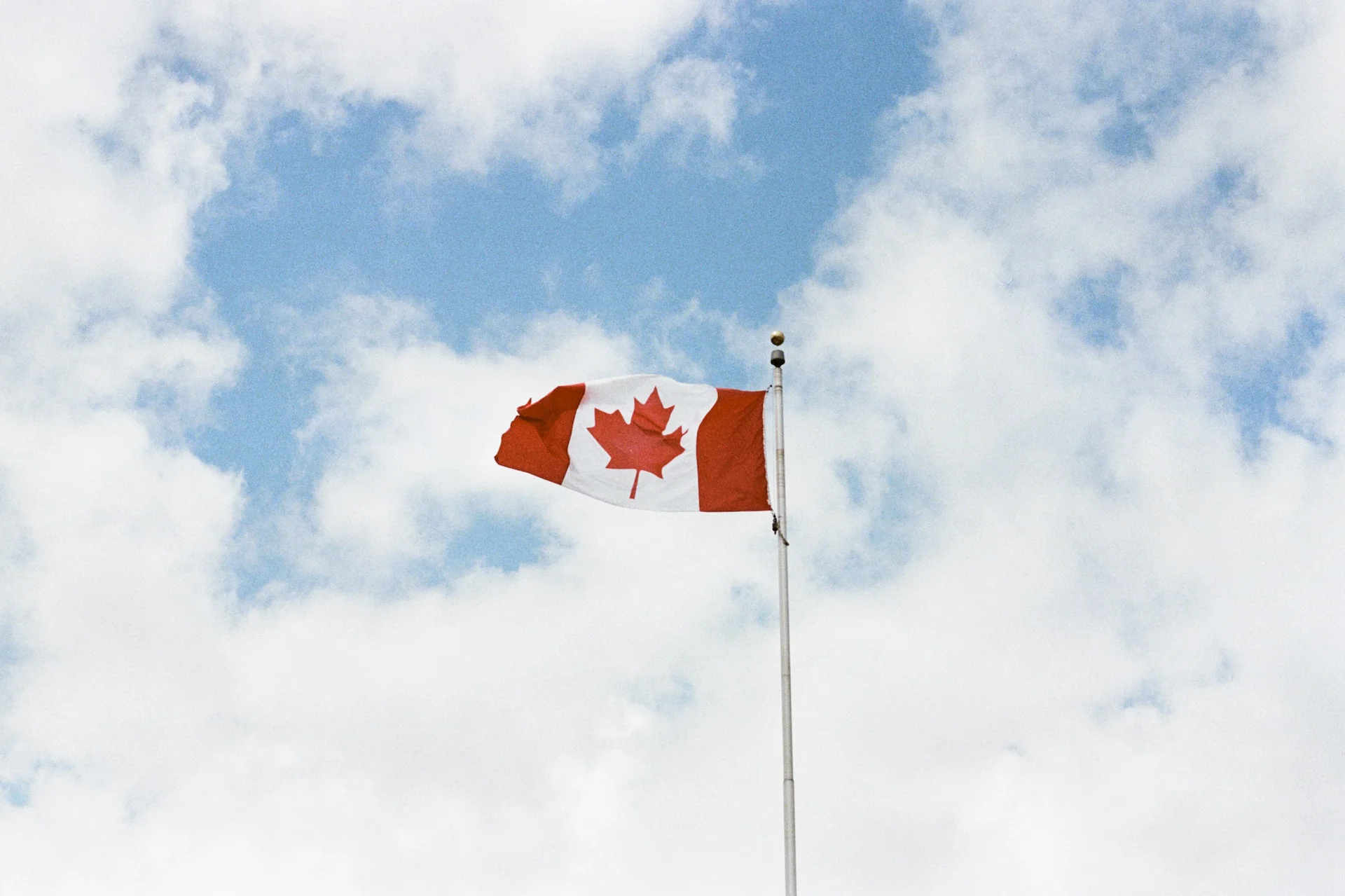 canada day flag toronto maids